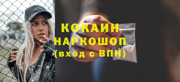 СК Алексин