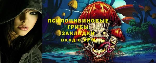 СК Алексин