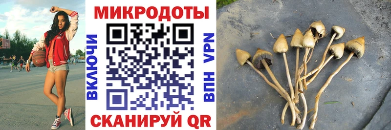 Галлюциногенные грибы Psilocybine cubensis Щигры